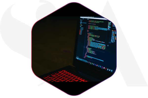 Custom software development services